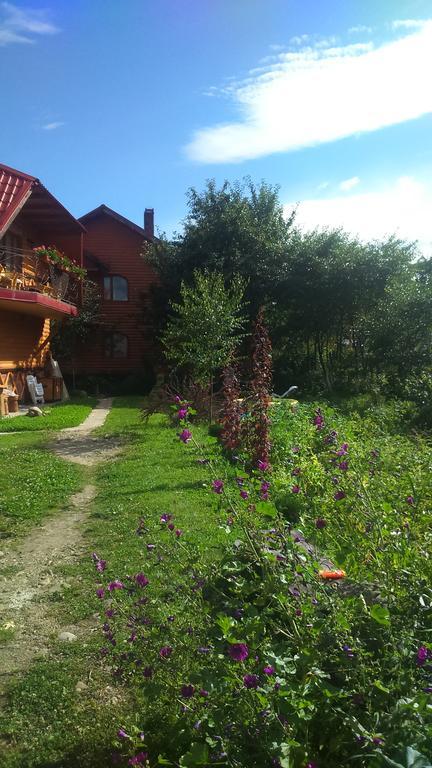 Doroga Dodomu Hotel Mykulychyn Exterior photo